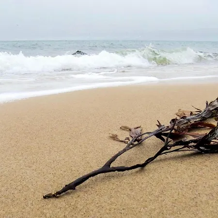 8 Person In Gilleleje-by Traum 度假居