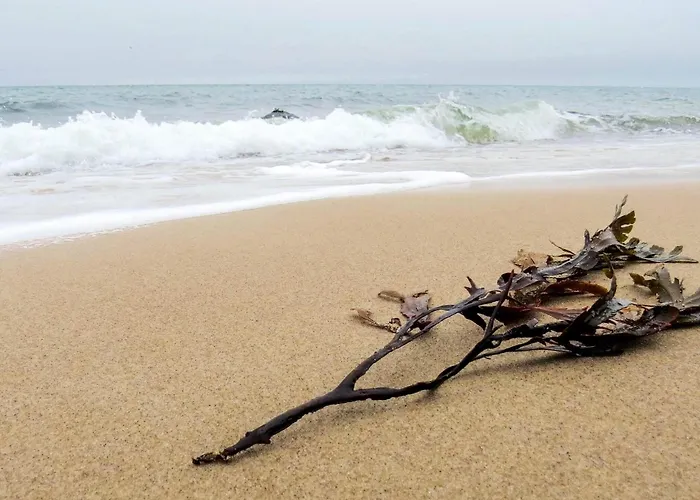 8 Person In Gilleleje-by Traum Casa de Férias