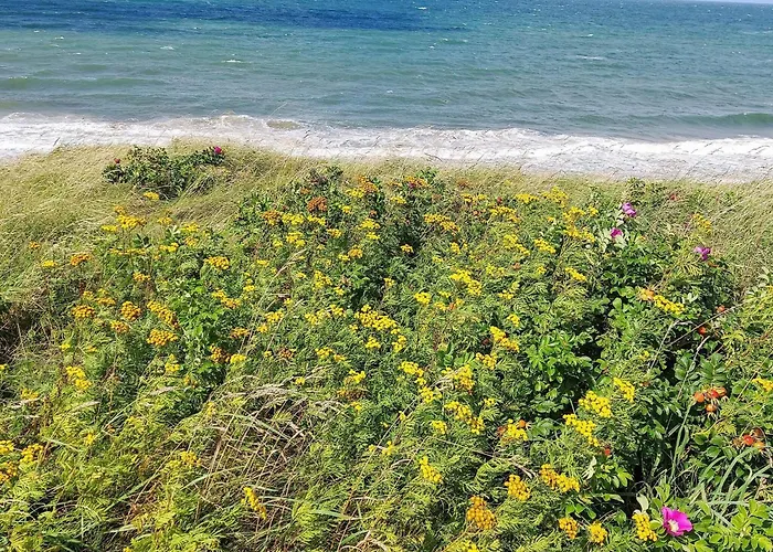 Casa de Férias 8 Person In Gilleleje-by Traum *